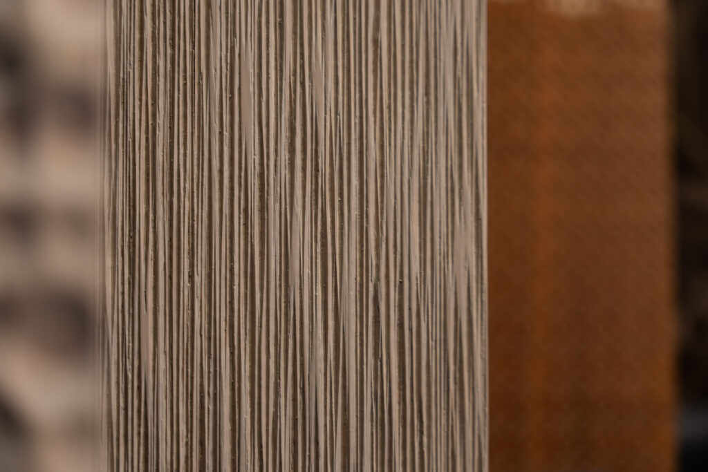 _S258806